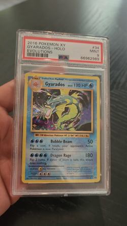 GYARADOS - HOLO - PSA 9 - 2016 Pokemon XY EVOLUTIONS - #34 - Image 2