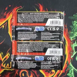 Pokemon TCG Phantasmal Flames English Booster Packs 2 Pack 10 Cards Charizard - Image 3