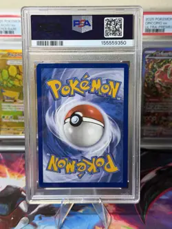 Pokemon Stellar Crown Squirtle 148/142 Illustration Rare Holo PSA 10 GEM MINT - Image 3