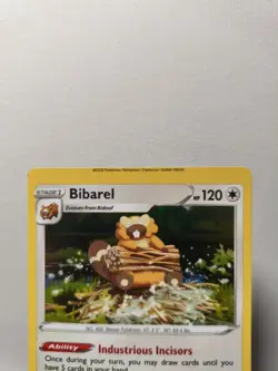 Pokemon TCG Bibarel 121/172 Brilliant Stars Holo ERROR CARD!! Nm - Image 3