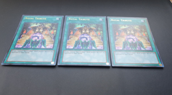 ⭐Yugioh | 3x Royal Tribute | US-Version|NM | EN | Ultra Rare | 1.Auflage | LCYW⭐ - Image 2