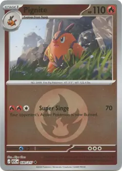 Pignite (Energy Symbol) 030/217 Reverse Holo Pokemon ME: Ascended Heroes NM+ - Image 1