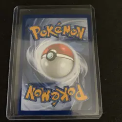 Pokemon TCG Totodile 048 Black Star Promo First Partners Collection Series 2 NM - Image 2