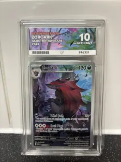 Pokemon TCG Zoroark 143/086 Illustration Rare White Flare ACE 10 Gem Mint - Image 1