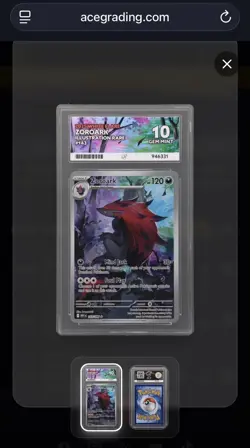 Pokemon TCG Zoroark 143/086 Illustration Rare White Flare ACE 10 Gem Mint - Image 3