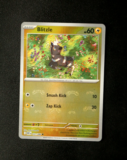 Pokemon Card - Blitzle 031/086 White Flare English - Master Ball Reverse - NM ⭐ - Image 1