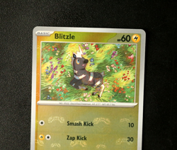 Pokemon Card - Blitzle 031/086 White Flare English - Master Ball Reverse - NM ⭐ - Image 2