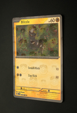 Pokemon Card - Blitzle 031/086 White Flare English - Master Ball Reverse - NM ⭐ - Image 4