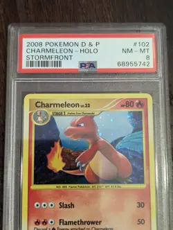 Pokemon Stormfront Charmeleon Holo 2008 English #102/100 PSA NM-MT 8 - Image 2