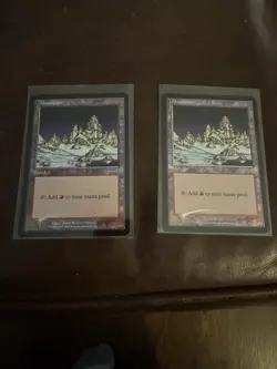 Magic: Arena foil Mountain x2-mtg - Image 1
