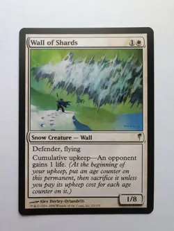 MTG Wall of Shards (CSP) Coldsnap Regular Rare 23/155 - Image 1