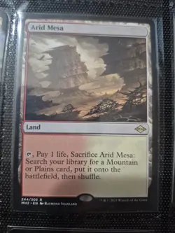 Arid Mesa Modern Horizons 2 Regular - Image 1