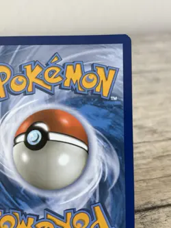 Pokemon TCG 2019 Detective Pikachu SM170 Black Star Promo Holo Card - Image 4