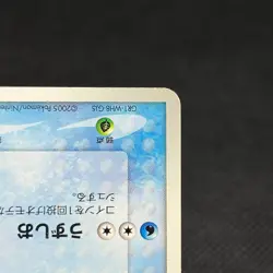 PokePark's Mudkip 048/PCG-P Promo Mudkip's Big Splash Japanese Pokemon Card A01D - Image 4