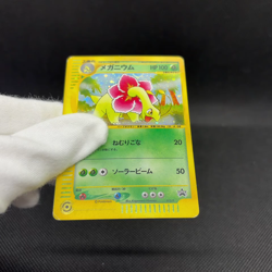 Meganium 015/P Promo Starter Triple Get 2001 HP100 Japanese Pokemon Card #0808 - Image 2