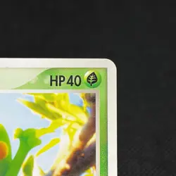 Treecko 037/PCG-P Promo Yokohama Center Opening Japanese Pokemon Card #C181 - Image 3