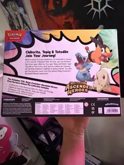 Pokemon TCG Ascended Heroes First Partner Deluxe Pin Collection Sealed New 1 box - Image 2