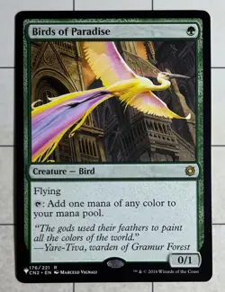 MTG Birds of Paradise Mystery Booster - Conspiracy: Take the Crown #176 NM R - Image 1