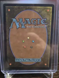 T'Challa's Protection - Teferi's Protection (Borderless) Marvel Universe Regular - Image 2