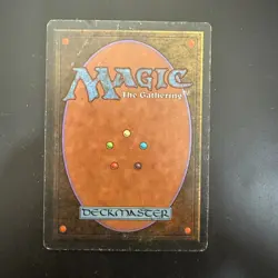 Magic The Gathering Savannah Lions Alpha Edition HP - Image 2