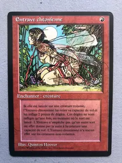 Mtg Carte Magic Fbb Earthbind French LP - Image 1