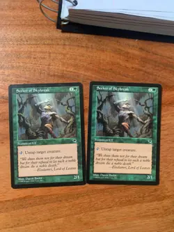 x1 MTG Seeker of Skybreak LP Tempest Regular Magic the Gathering - Image 1