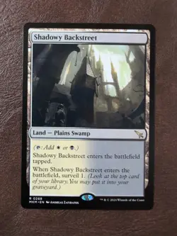Shadowy Backstreet Murders at Karlov Manor MTG Regular - Image 1