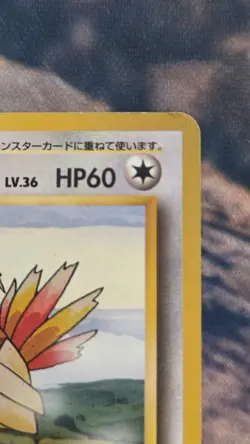 Vintage 1999 Japanese Pidgeotto Pokemon Card Rare 017 MP - Image 5