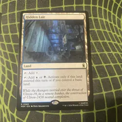 Magic the Gathering 3 Card Lot (Appa, Overgrown Tomb, Hidden Lair) - Image 3