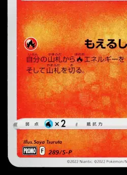CHARMANDER 289/S-P SWORD & SHIELD PROMOS JAPANESE POKEMON TCG - Image 4