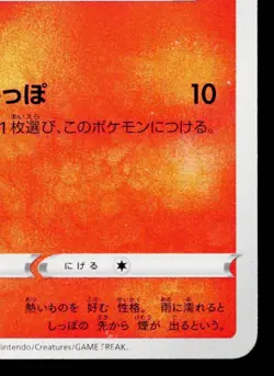 CHARMANDER 289/S-P SWORD & SHIELD PROMOS JAPANESE POKEMON TCG - Image 5