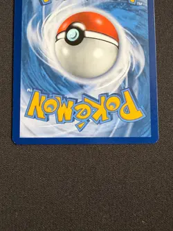 Charizard V Swsh260 Swsh: Sword & Shield Promo Cards Holo - Image 3
