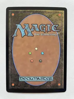 MTG The Ten Rings BORDERLESS FOIL 0313 MSH - Image 2