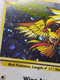 Pokemon Pidgeot Base Set 2 Holo Rare 14/130 WOTC 2000 - Image 3