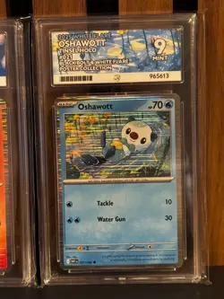 Pokemon TCG Black Bolt & White Flare Poster Collection Tepig & Oshawott Ace 9 - Image 3
