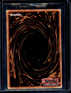 ZOA TFK-001 - THE FALSEBOUND KINGDOM - PRISMATIC RARE - YU-GI-OH *HP* - Image 2