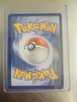 Oshawott 105/086 Illustration Rare White Flare NM Pokemon TCG Pack Fresh Clean - Image 2