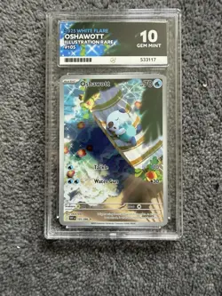Pokemon TCG Oshawott Illustration Rare White Flare 105/086 Gem Mint Ace 10 - Image 1