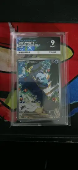 Pokemon TCG Oshawott Illustration Rare White Flare 105/086 Gem Mint Ace 10 - Image 1