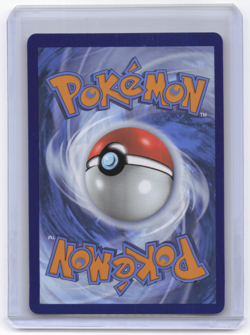 Cynthia's Garchomp ex 204 Sv: Scarlet & Violet Promo Cards Premium collection - Image 5