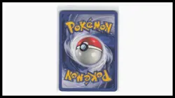 Wartortle 42/102 Uncommon Base Set Shadowless Pokemon Unlimited Heavily Played - Image 2