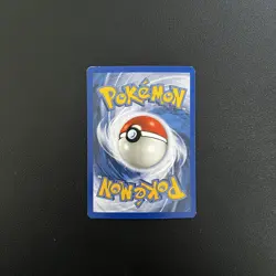 Pokemon Ursaring 110/144 Skyridge Reverse Holo - Image 3