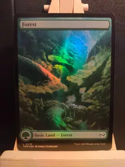 Forest FOIL 0276 - Full Art - Tarkir Dragonstorm - NM (see pics) MTG - Image 1