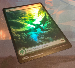 Forest FOIL 0276 - Full Art - Tarkir Dragonstorm - NM (see pics) MTG - Image 3