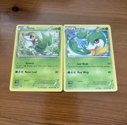 Pokemon TCG Cute Card Bundle - Image 1