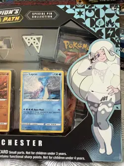 Pokemon TCG Champions Path Circhester Special Pin Collection Box Factory Sealed - Image 3