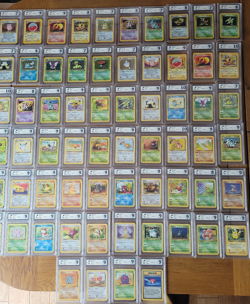 FULL POKEMON JUNGLE SET - 64 CARDS - 1 TO 64 SEQUENTIALLY GRADED - RKT GRADED - Image 1