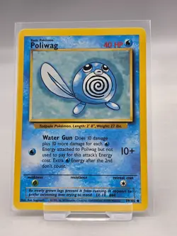 Poliwag Pokemon TCG Base Set WOTC 1999 Card 59/102 Common - Image 1