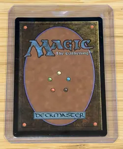 Wastes (706) - Full Art Secret Lair Drop Foil MTG Magic SLD Blood Bowl - Image 2