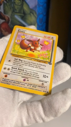 Pokemon Base Set Eevee 51/64 Jungle Vintage - Image 2